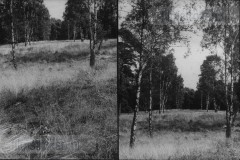 Jeugdfototips II Jeugdfototips II