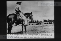 Van Kolonie tot Wereldmacht