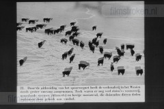 Van Kolonie tot Wereldmacht Van Kolonie tot Wereldmacht
