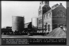 Steenkool, De Onmisbare Delfstof