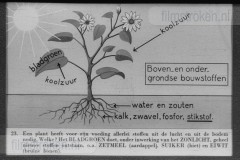 Steenkool, De Onmisbare Delfstof Steenkool, De Onmisbare Delfstof