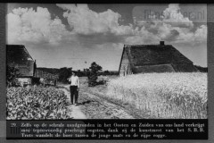 Steenkool, De Onmisbare Delfstof Steenkool, De Onmisbare Delfstof
