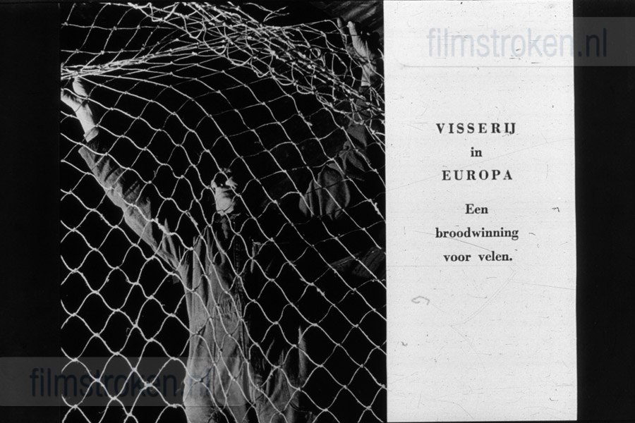 Visserij in Europa Visserij in Europa