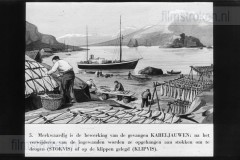 Visserij in Europa Visserij in Europa