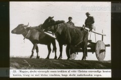 Marshall-Hulp aan Europa Marshall-Hulp aan Europa