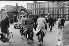 Het Werk in de Wolindustrie Het Werk in de Wolindustrie