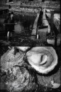 Oesters en Kreeften