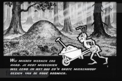 Wij Mieren Wij Mieren