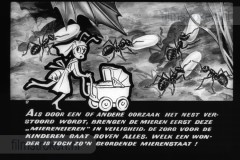 Wij Mieren Wij Mieren