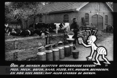 Wij Mieren Wij Mieren