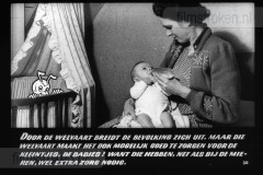 Wij Mieren Wij Mieren