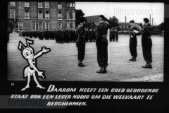 Wij Mieren Wij Mieren