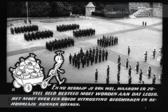 Wij Mieren Wij Mieren