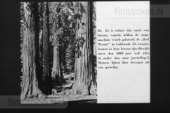 Amerika, Land van Onbegrensde Mogelijkheden