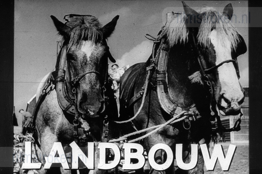 Landbouw Landbouw