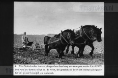 Landbouw Landbouw