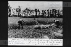 Landbouw Landbouw