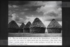 Landbouw Landbouw