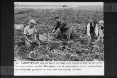 Landbouw Landbouw