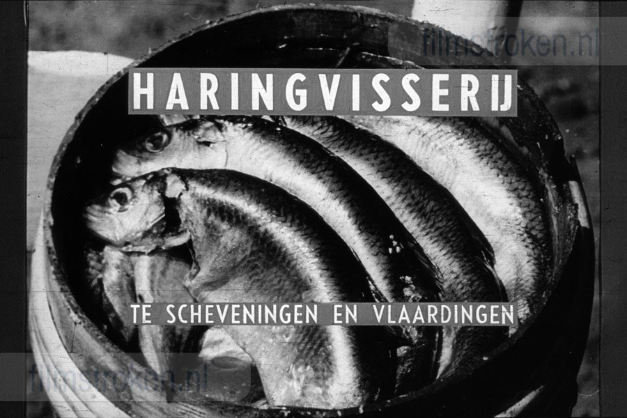 Haringvisserij te Scheveningen en Vlaardingen Haringvisserij te Scheveningen en Vlaardingen