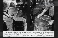 Haringvisserij te Scheveningen en Vlaardingen