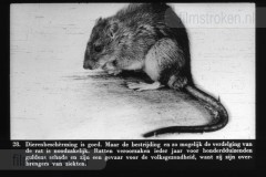 Mens, Dier en Plant, Strijd Tegen Ziekten Mens, Dier en Plant, Strijd Tegen Ziekten