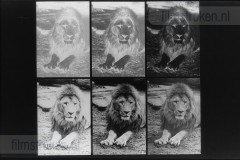 Jeugdfototips I Jeugdfototips I