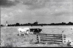 Groningen Groningen