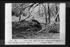 Zuid-Afrika III Zuid-Afrika III