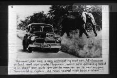 Zuid-Afrika III Zuid-Afrika III