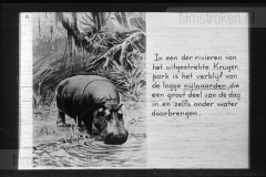 Zuid-Afrika III Zuid-Afrika III