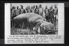 Zuid-Afrika III Zuid-Afrika III