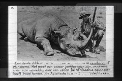 Zuid-Afrika III Zuid-Afrika III