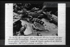 Zuid-Afrika III Zuid-Afrika III