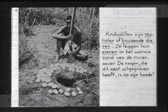 Zuid-Afrika III Zuid-Afrika III