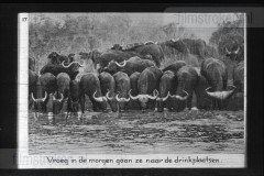 Zuid-Afrika III Zuid-Afrika III