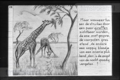 Zuid-Afrika III Zuid-Afrika III