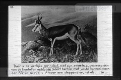 Zuid-Afrika III Zuid-Afrika III