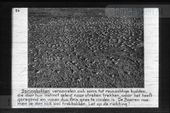 Zuid-Afrika III Zuid-Afrika III