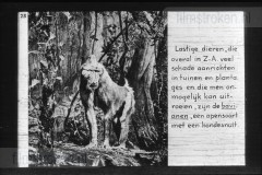 Zuid-Afrika III Zuid-Afrika III
