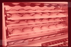Bij de Bakker Bij de Bakker