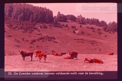 Zweden I Zweden I