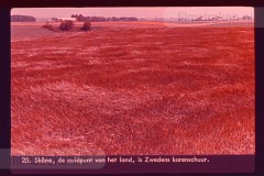 Zweden I Zweden I