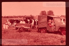 Pluk en Plok op de Boerderij