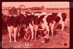 Pluk en Plok op de Boerderij