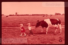 Pluk en Plok op de Boerderij
