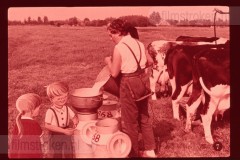 Pluk en Plok op de Boerderij