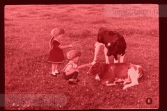 Pluk en Plok op de Boerderij