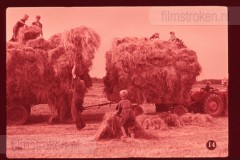 Pluk en Plok op de Boerderij