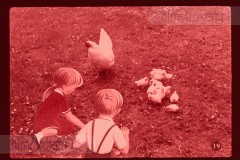 Pluk en Plok op de Boerderij